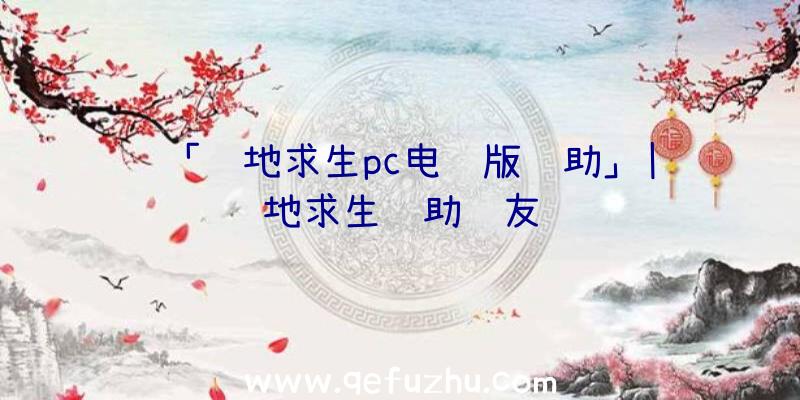 「绝地求生pc电脑版辅助」|绝地求生辅助队友